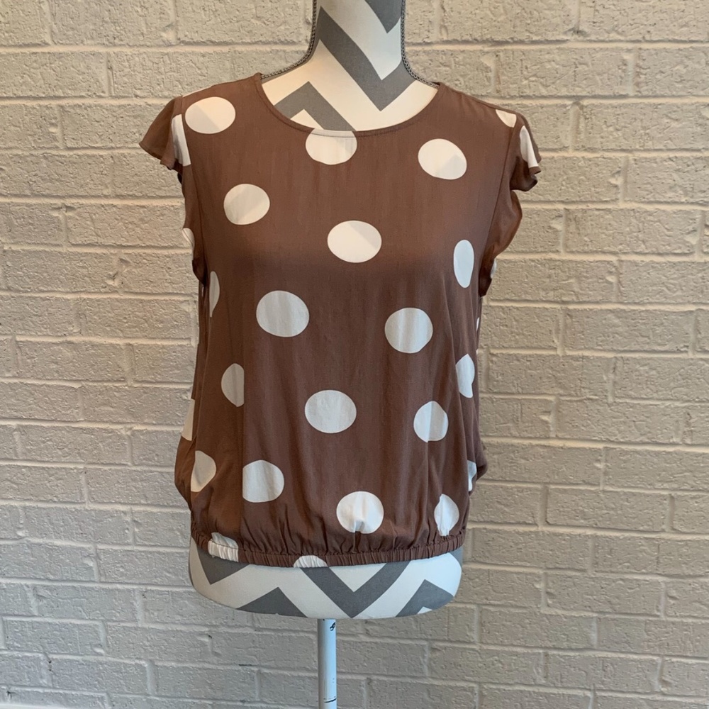 Ann Taylor Loft Brown And Cream Top